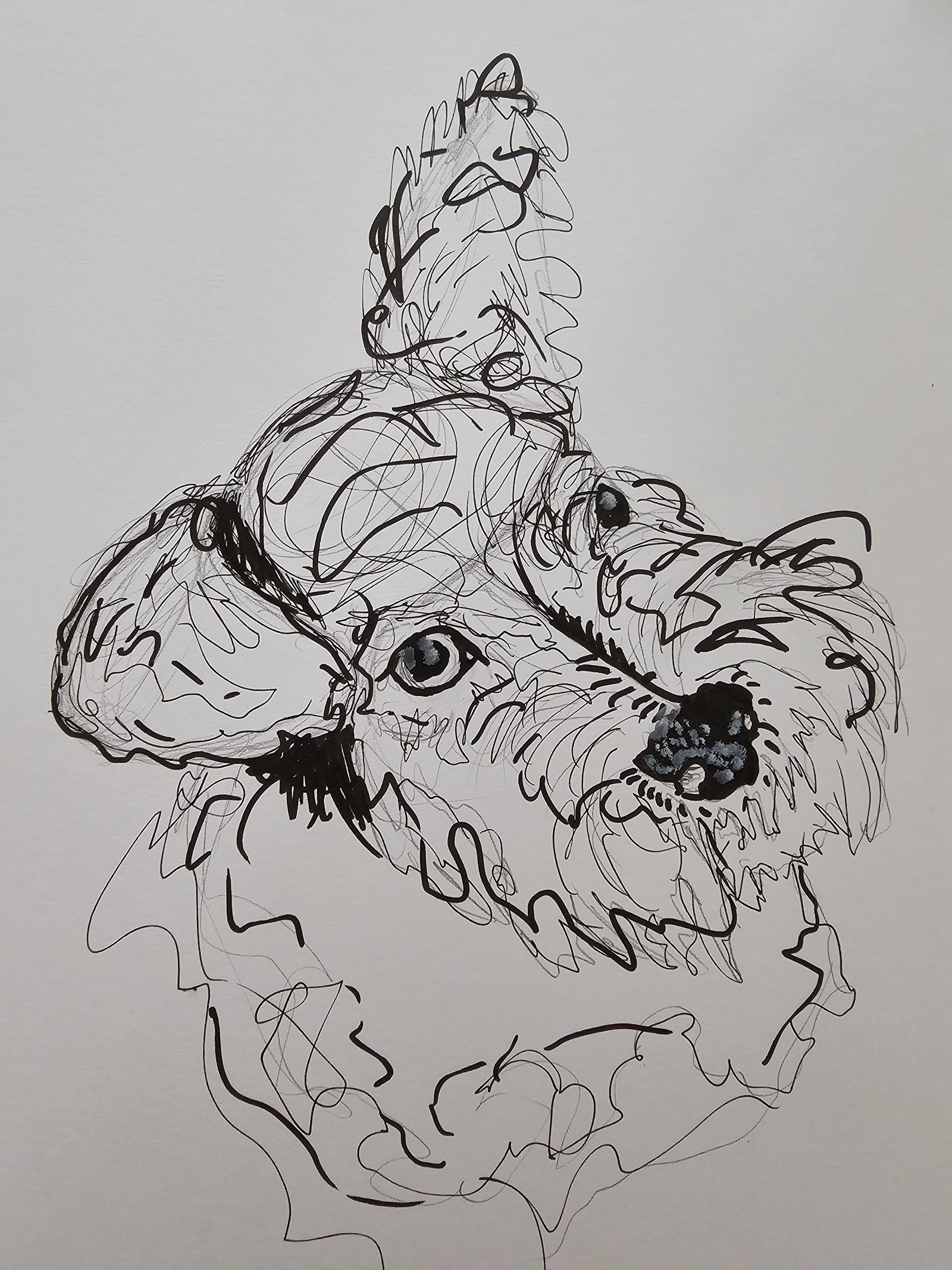 Ink Animal Comission